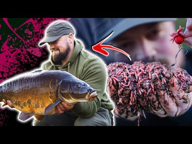 "These Carp Are Incredible''  In Session At Manor Farm Booneys Lake 