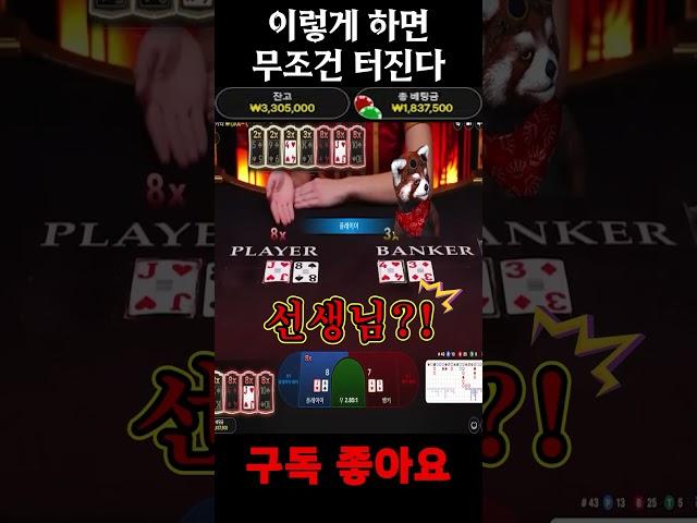 블랙잭 사무라이 이렇게 하면 익스트림 라이트닝 무조건 터집니다 #블랙잭 #카지노 #바카라