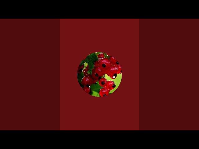 Поговорим? Пообсуждаем?