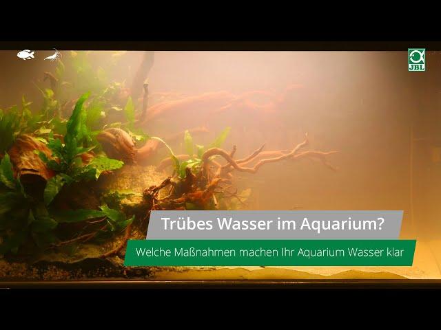 JBL TV #23: Trübes Wasser im Aquarium? Diese Maßnahmen helfen!