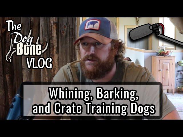 Whining, Barking, and Crate Training Dogs | The DogBone VLOG: Ep: #91