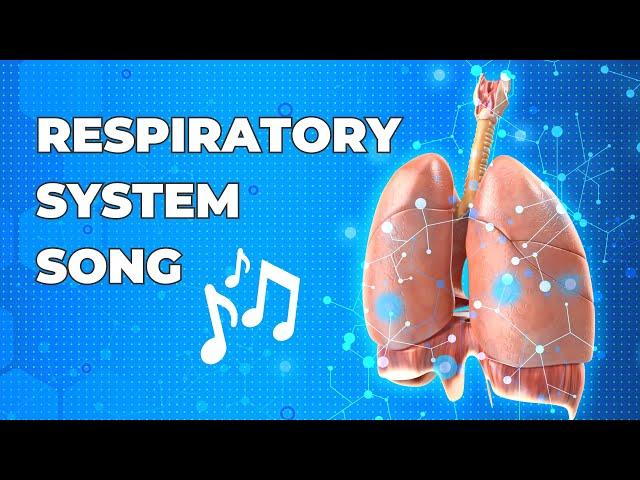 The Respiratory System Song - Fun Biology Music