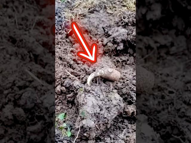 Metal Detectorist finds something extraordinary! #history #artifacts