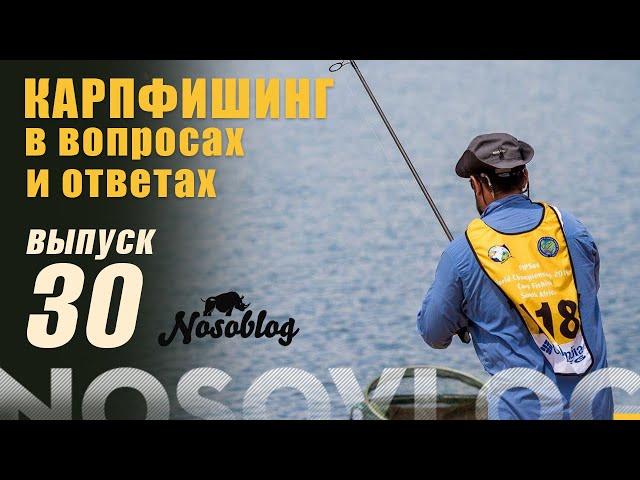 Карпфишинг в вопросах и ответах, выпуск # 30, А. Колесников