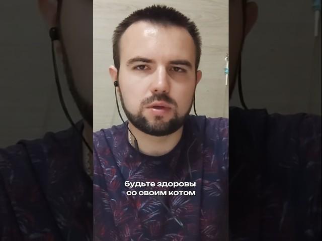 В Европе ветпомощь недоступна для многих? Рассказывает главный врач #зообизнес #ветклиника