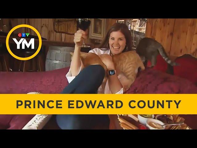 Lindsey takes a tour of Prince Edward County | Your Morning