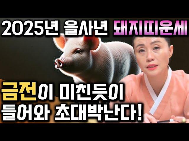 2025년 을사년 돼지띠운세 '활짝 웃게된다' 2025년 금전이 미친듯이 들어와 순식간에 부자가 된다?! 금전,문서운 대박난다 59년 71년생 83년생 95년생 돼지띠 운세