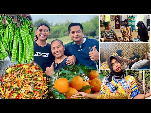 PANEN JERUK PANEN PETE LANGSUNG DI MASAK DI DAPUR GE BAMS  TUMIS KULIT JERUK IKAN ASIN KLOTOK‼️