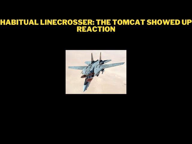 Habitual Linecrosser: The Tomcat Showed Up Reaction