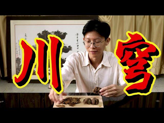 【川穹】十项全能？！什么病痛都可以吃？