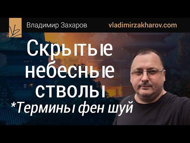 Скрытые небесные стволы. 99 терминов фен шуй. Владимир Захаров - эксперт фэншуй, бацзы для бизнеса