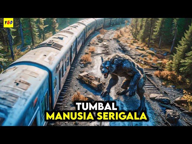 Munculnya Manusia Serigala Setiap 1 Tahun Sekali - ALUR CERITA FILM Howl