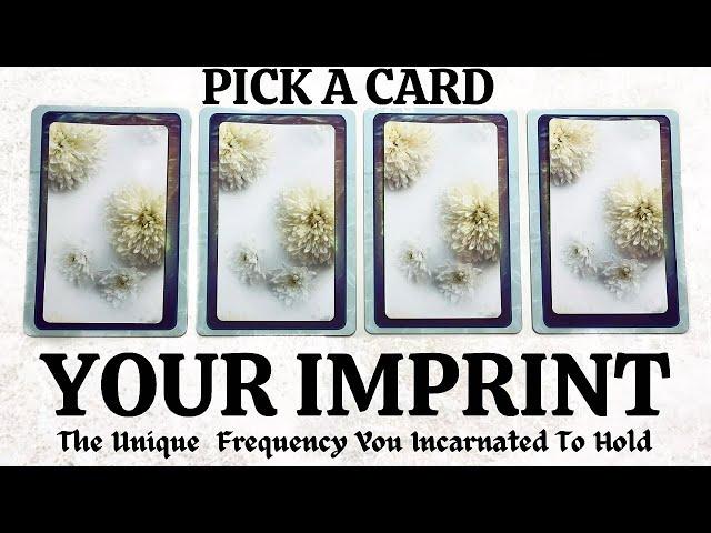 PICK A CARD  Your IMPRINT  Who Are You Truly? 🪷 The Frequency You Incarnated To Hold 