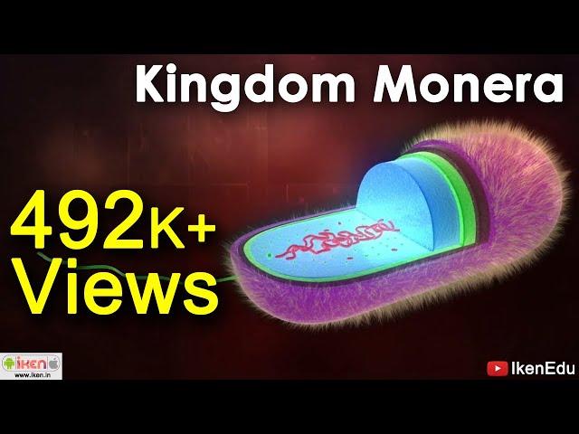 Kingdom Monera | Whittaker's Five Kingdom Classification System | iKen | iKen Edu | iKen App