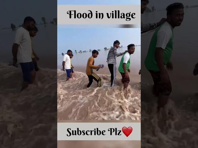 Flood in village #minivlog #youtubeshorts #viral #flood #village