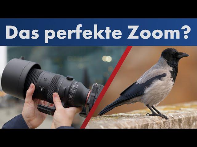 Sigma 60-600 mm DG DN OS Sport | DSLM-Version für Sony E- & L-Mount im Test [Deutsch]