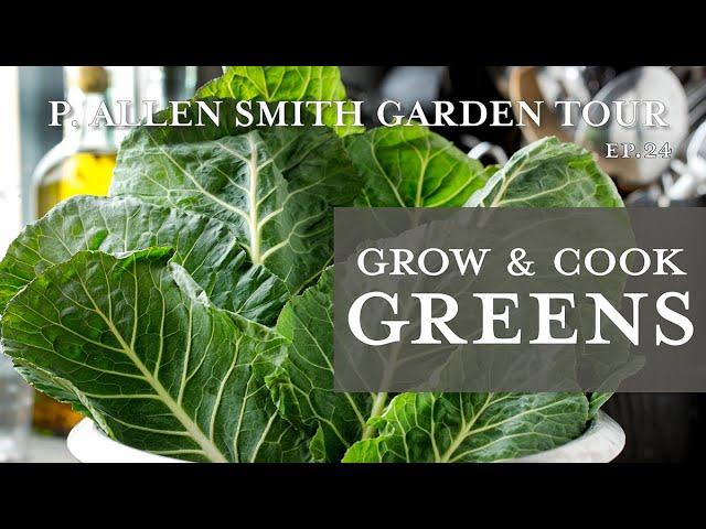 Classic Southern Mixed Greens Recipe: Growing Greens | P. Allen Smith