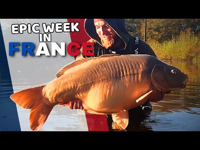 Chasing Monster Carp in the Heart of France