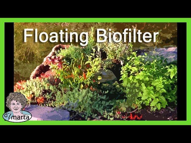 DIY Floating Bio-Filter Garden