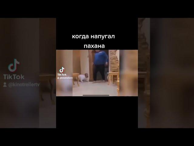 Я РЖАЛ ДО СЛЕЗ тест на психику/мем/напугал пахана/когда напугал пахана/угар/ржачные приколы/ачё)