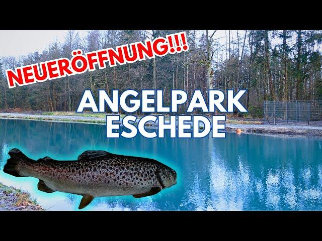 NEUERÖFFNUNG Angelpark Eschede: Forellenangeln an der Bärenkuhle mit den FTM Lifter Lures im Test