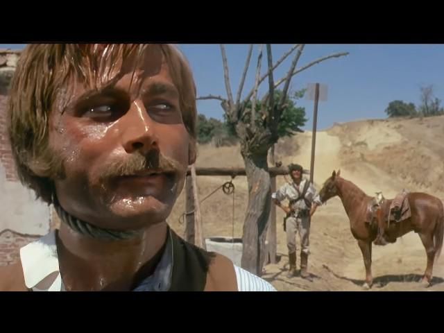 Compañeros (Western, 1970) with Franco Nero, Tomas Milian | a Sergio Corbucci movie