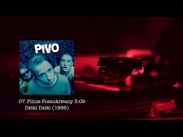 PIVO - album DZIKI DZIKI (1996) - 07.Pilnie Poszukiwany