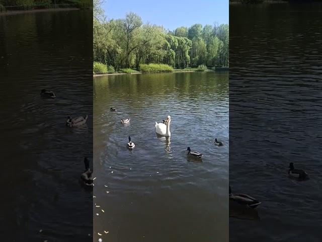 Красота вокруг нас! #жизнь#красотадуши#красотавокруг#мир#санктпетербург