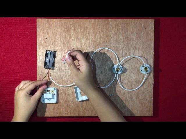 Physics Project: Making a Parallel Circuit