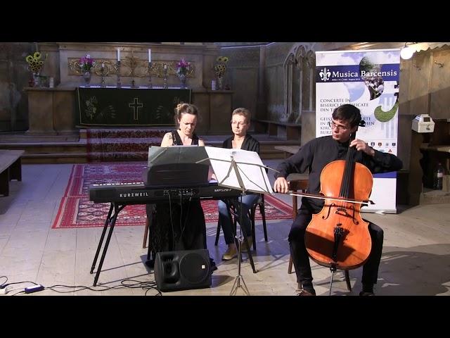 Musica Barcensis  - X - Alpha Trio @Ghimbav/ Weidenbach