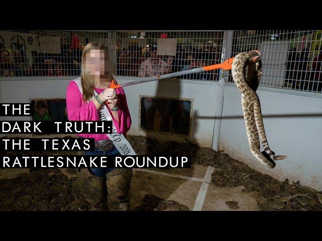 The Texas Rattlesnake Roundup: The Dark Truth