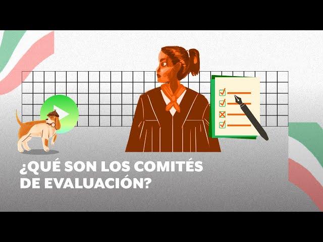 ¿Qué son y cuáles son las tareas de los Comités de Evaluación?