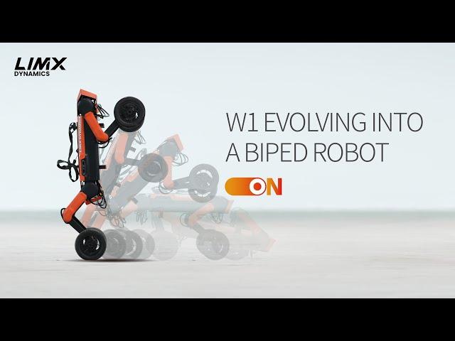 LimX Dynamics W1 Evolves into a Biped Robot