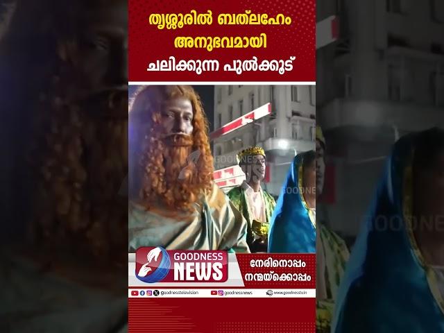 തൃശ്ശൂരിൽ ബത്‌ലഹേം അനുഭവമായിചലിക്കുന്നപുൽക്കൂട്|BUON NATALE 2024|THRISSUR|CHRISTMAS CRIB|GOODNESS TV