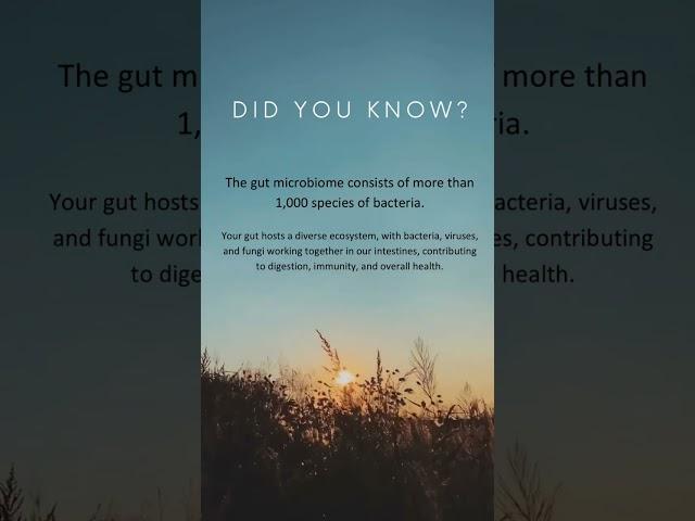 Gutwise Chronicles - know your Gut