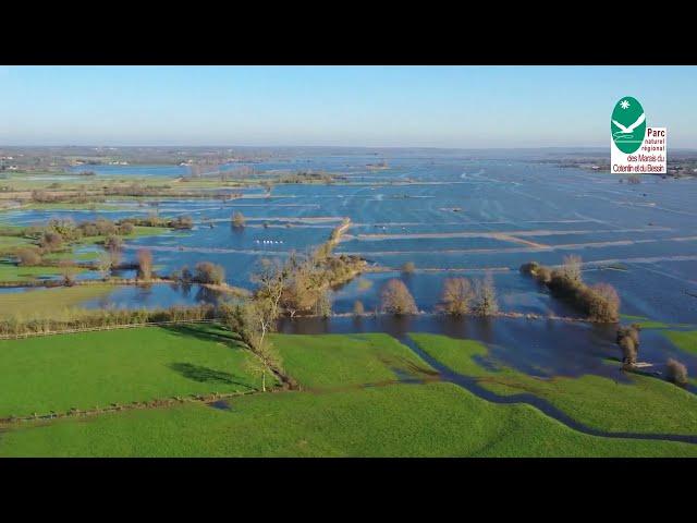 Film marais Bessin en hiver