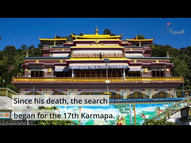 Rumtek Monastery, Gangtok Guide - What to do, When to visit, How to reach, Cost  Tripspell