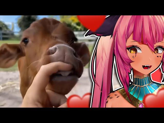 Tricky Reacts to the Cutest Animal Moments!