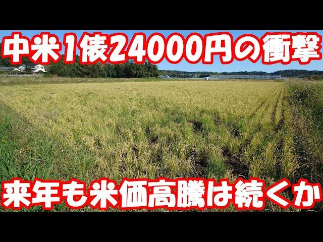 続く米価高騰と浮き彫りになり始める生産者への負担。#米高騰 #令和の米騒動