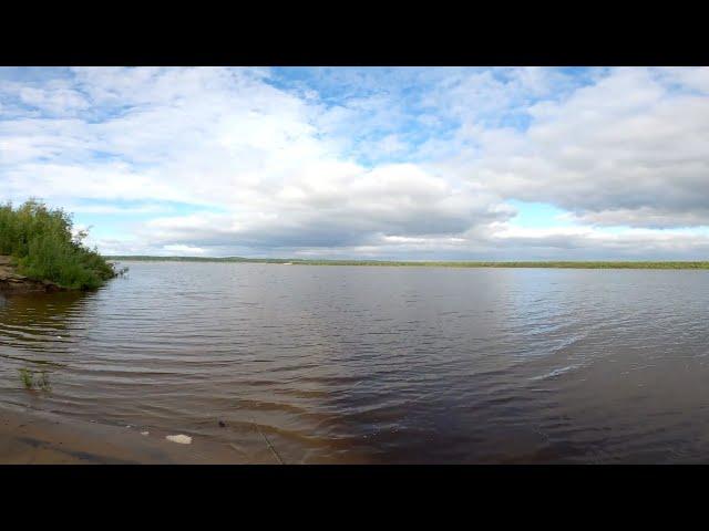 Рыбалка на реке. Щука и окунь на спиннинг.