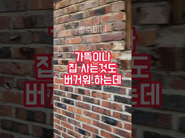 부동산에서 들은 옆집얘기에 충격받았어요  #실화사연 #실화 #갈등 #사연 #고민상담