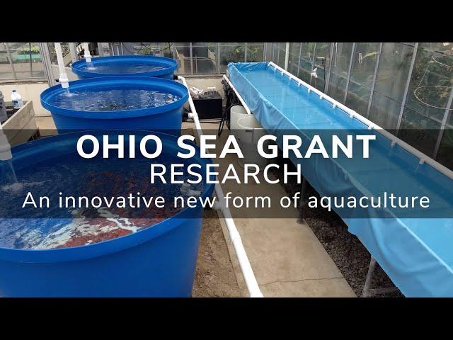 An Innovative New Form of Aquaculture | Ohio Sea Grant Research