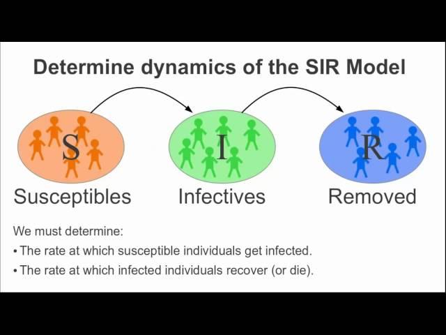 Introduction to an infectious disease model, part I