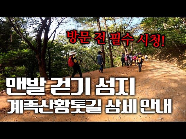 많은 분들이 의사 1,000명 이상 역할을 하는 생명, 희망의 길이라고 합니다.. 계족산황톳길을 자세히 소개해드립니다.