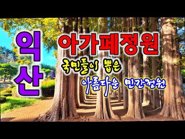 국민들이 뽑은 아름다운 민간정원, 익산 아가페정원에는 메타쉐콰이어 숲이 장관이다