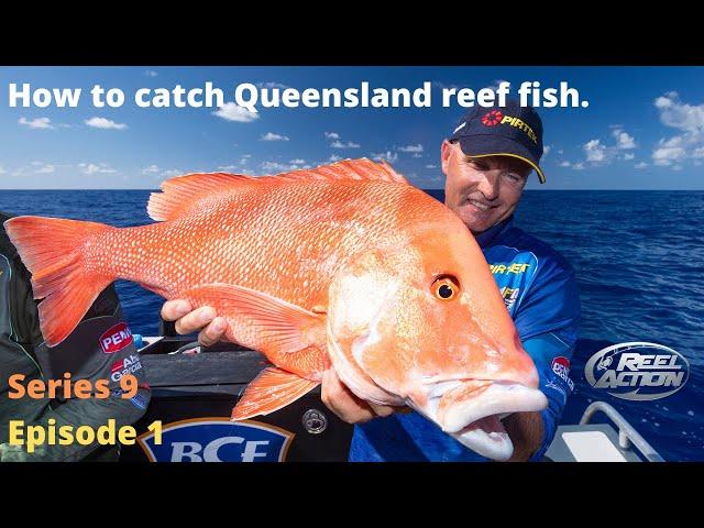 How to catch Queensland reef fish.