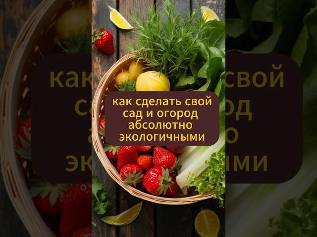 Как сделать свой сад и огород абсолютно экологичными #урожай #натуральный #сад #огород #садовод