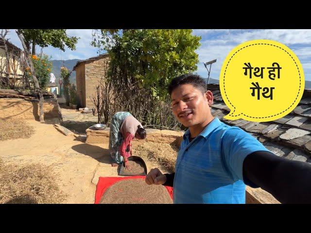 पहाड़ों में रेहना हैं काम काज करना ज़रूरी हैं | Pauri Garhwal Village Life | Pahadi Lifestyle Vlog