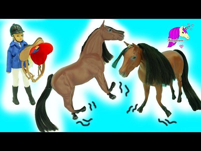 Paradise Poz-ABLES English Rider Doll + Bendy Horse Stretches & Horse Yoga?