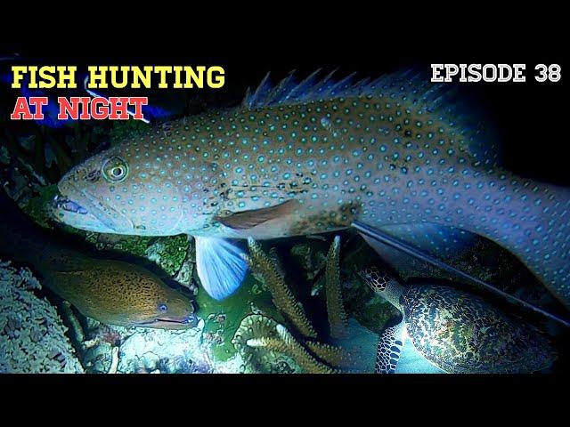 NIGHT SPEARFISHING EPISODE 38 | FISH HUNTING AT NIGHT